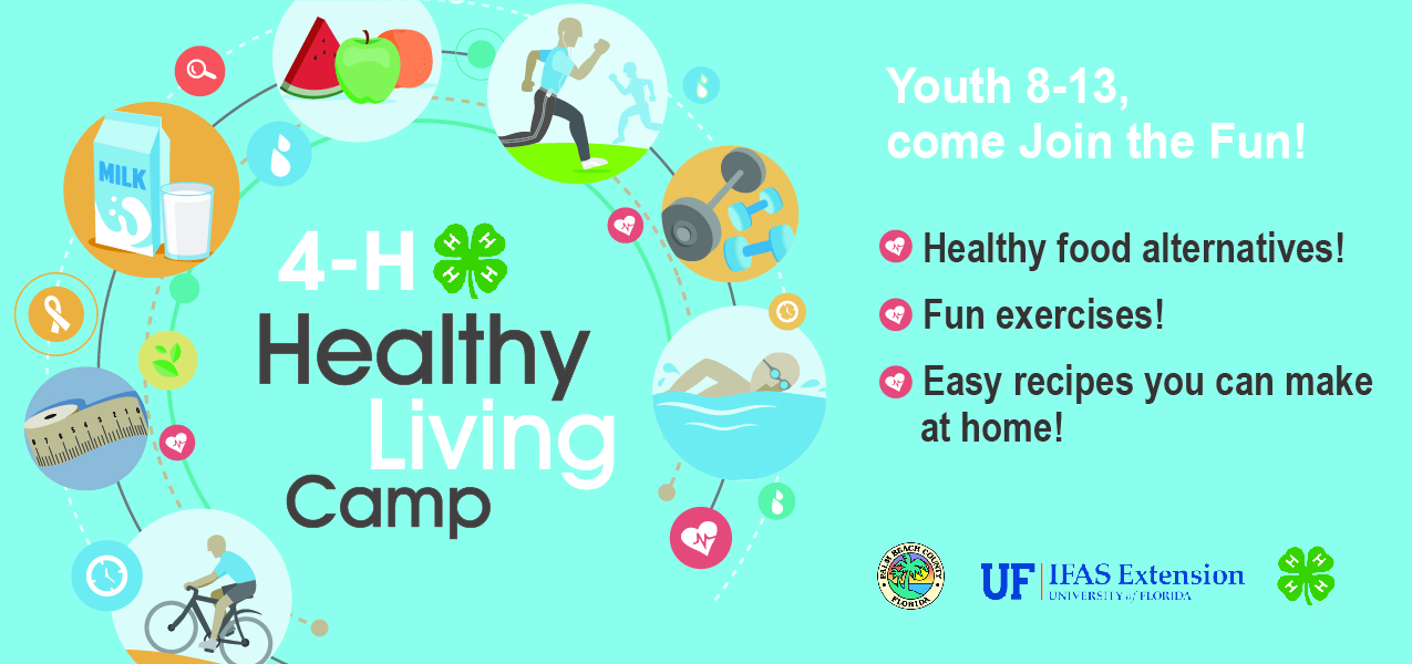 Healthy Living Camp banner