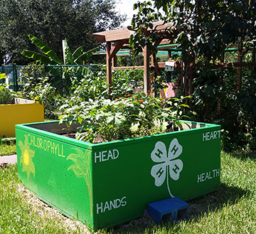 4H school garden