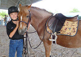 Western rider and horse