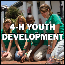 4-H Youth button