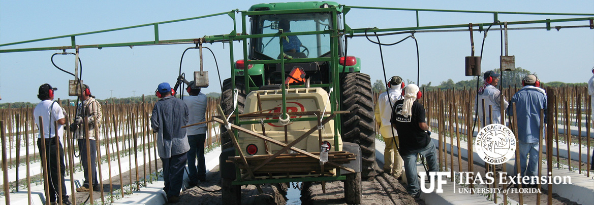 UF IFAS Extension image of farm workers