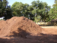 By using mulch, you’ll use less water, have healthier plants and fewer weeds.