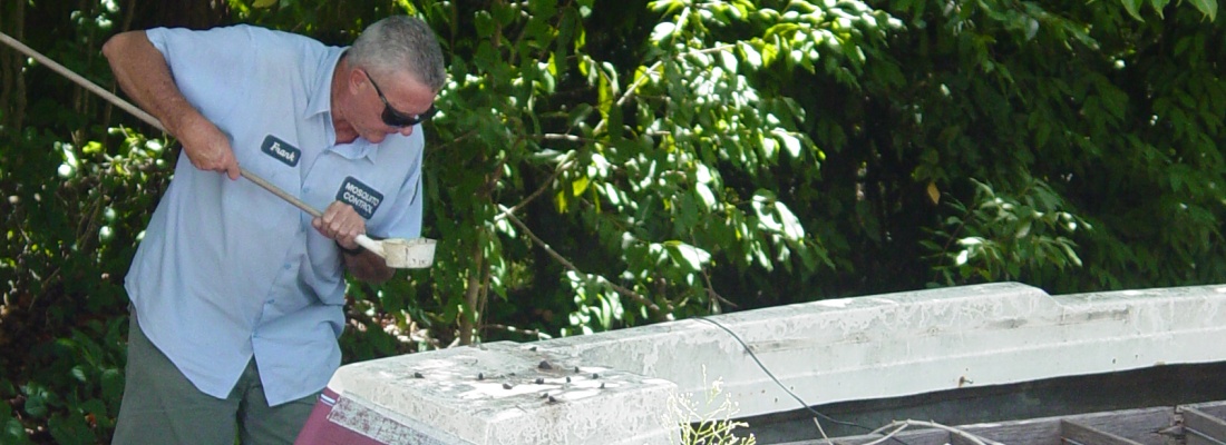 Mosquito Control Inspector Checking for mosquito larvae