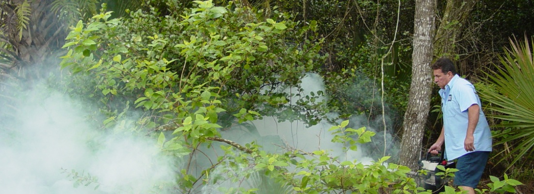 Mosquito Control Inspector Fogging