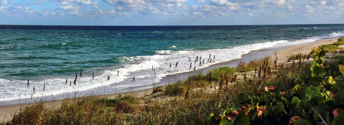 Beach Renourishment Construction