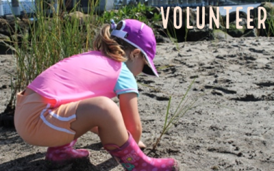 Picture Link for Volunteer Events