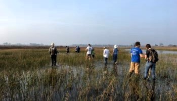 ERM staff leading swamp tromp