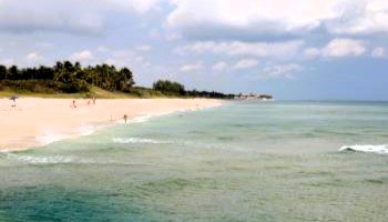 Shoreline in Palm Beach County
