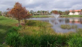 planted littoral zone at an excavation site