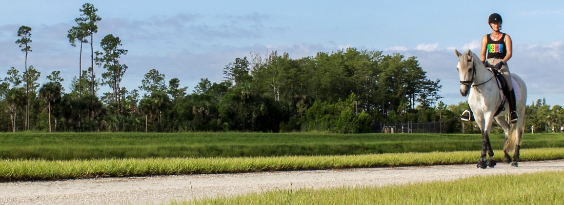 Picture of an equestrian horseback riding on a Jeaga Wildway Multiuse Connector Trail