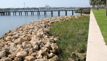 living shore line currie picture