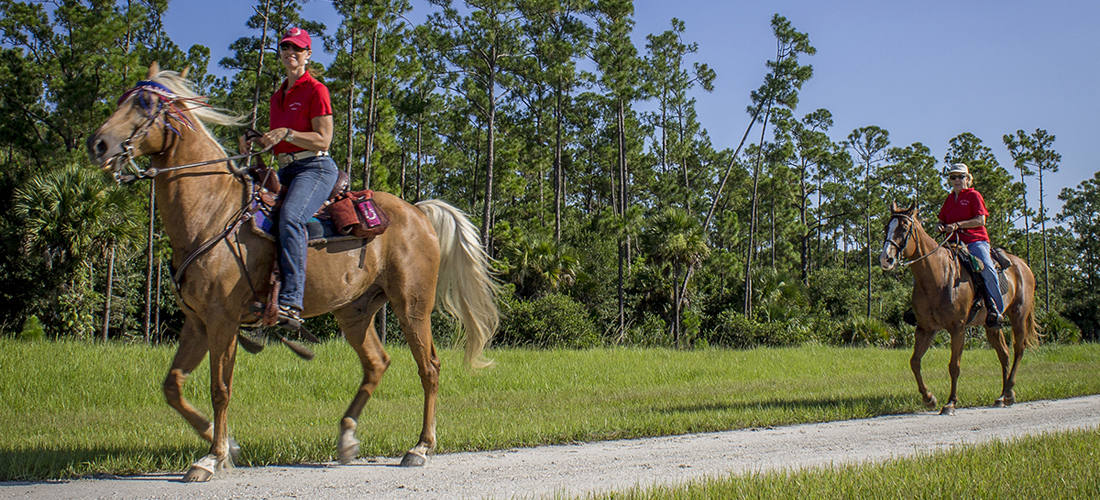 Horseback Riding in Natural Areas