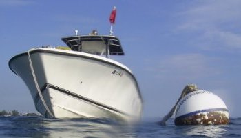 Picture of a boat and a mooring buoy in the ocean