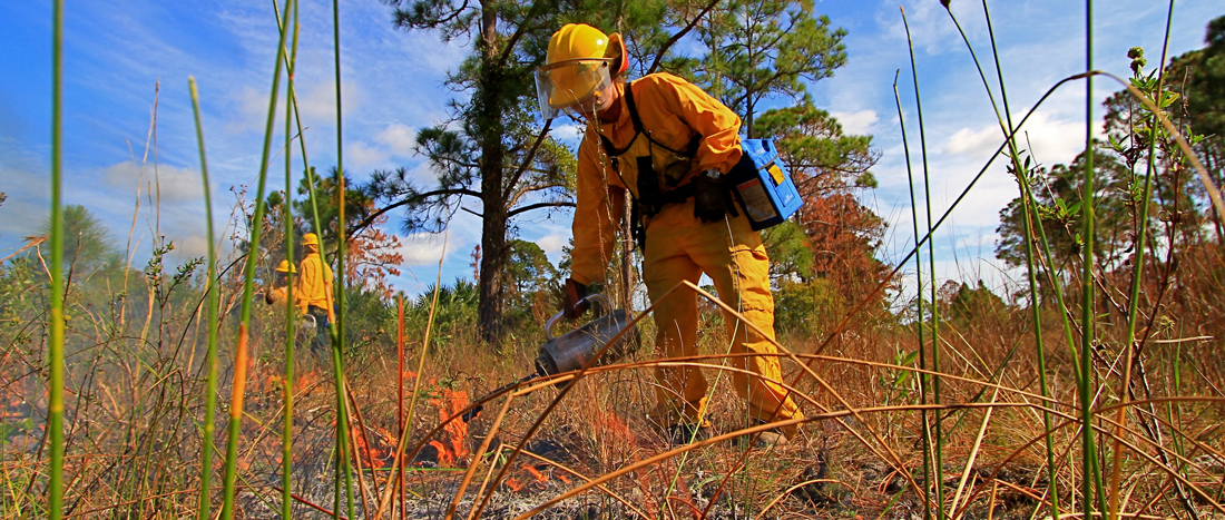 Burn Crew Member Igniting Prescribed Fire