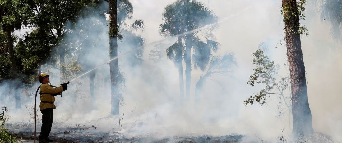 Burn Crew Member Exstinguishing Prescribed Burn