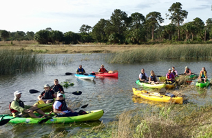Group of participants in kayaks at a guided paddle in a natural area.