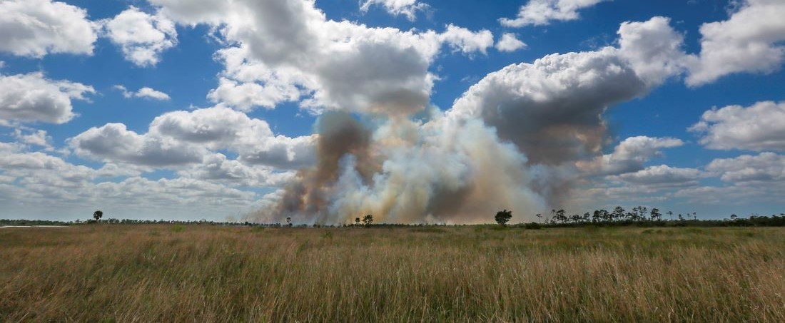 Image of prescribed fire from afar