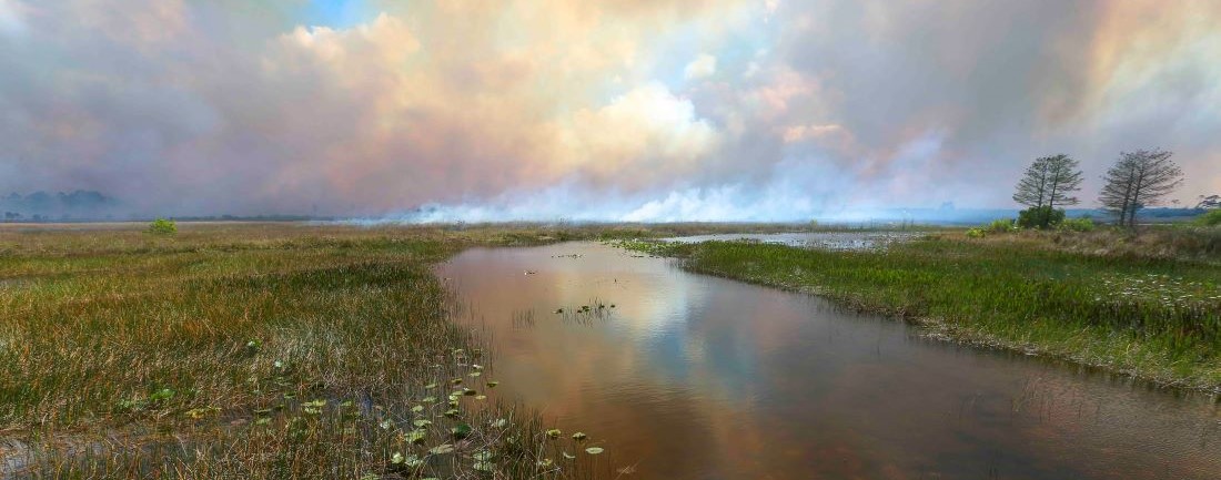 Image of prescribed fire closer up