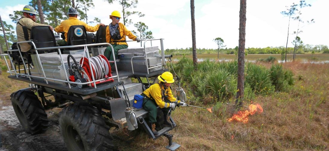 Image of Burn Crew Igniting Burn to Make Black Line