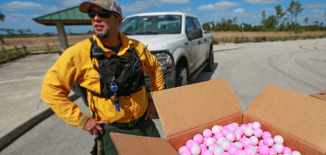 Image showing ignition spheres close up