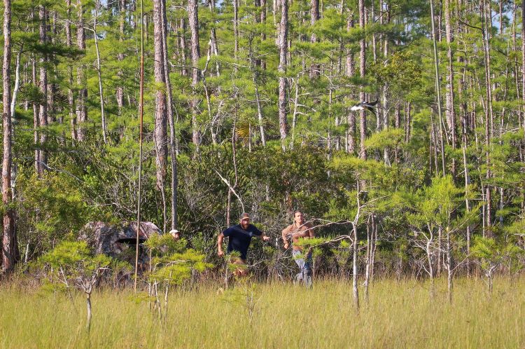 Team members running to secure a swallow tailed kite.