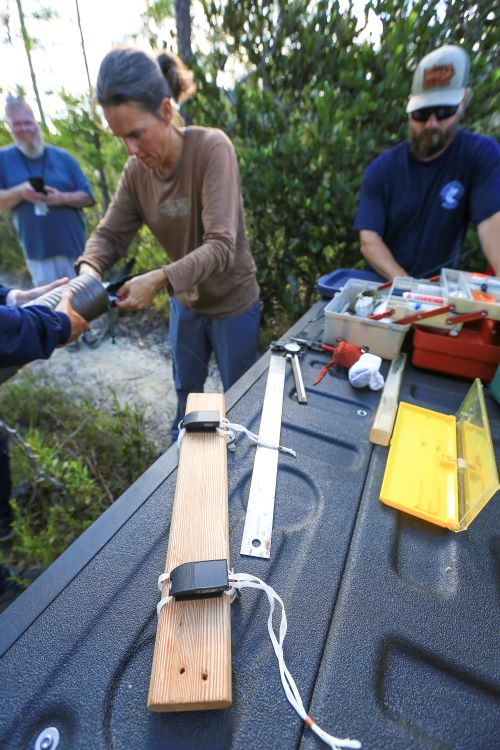 Team examining the bird