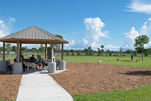 dogs and people at lake woof dog park