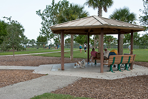 dogs and people at pooch pines dog park
