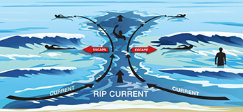 Rip Currents