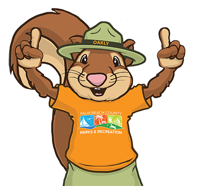 artwork of oakly pointing up