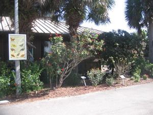 Daggerwing Nature Center’s butterfly garden