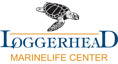 loggerhead marinelife center logo