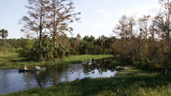 trees and water with people canoeing at riverbend park