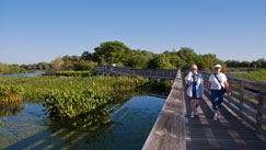 people on a boardwalk