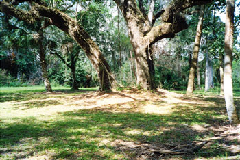 loxahatchee river battlefield park