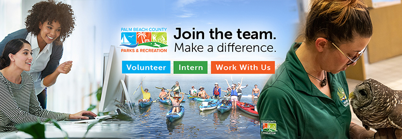 join the team make a difference volunteer intern work with us