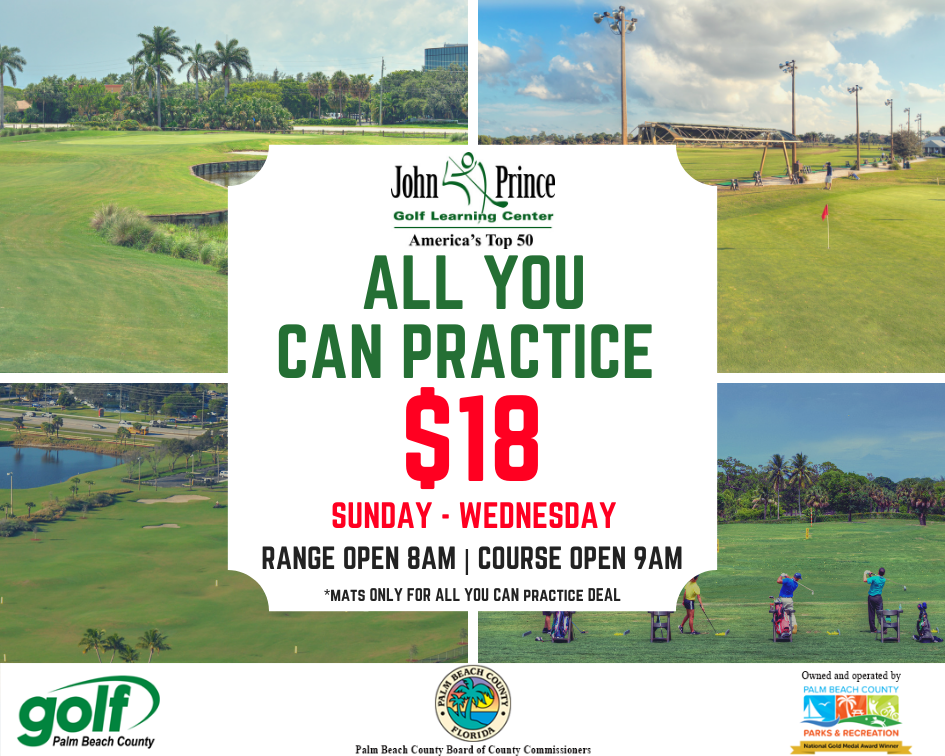 all you can hit and play flyer