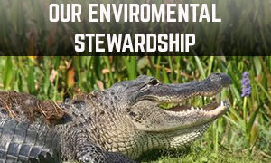 our enviromental stewardship
