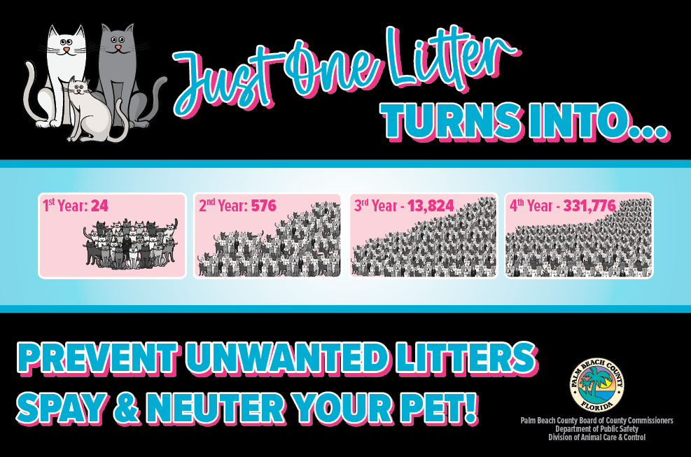 01ACCFall Recruitment.jpg