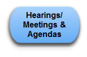 Hearing-Meetings-Agenda_Icon.jpg