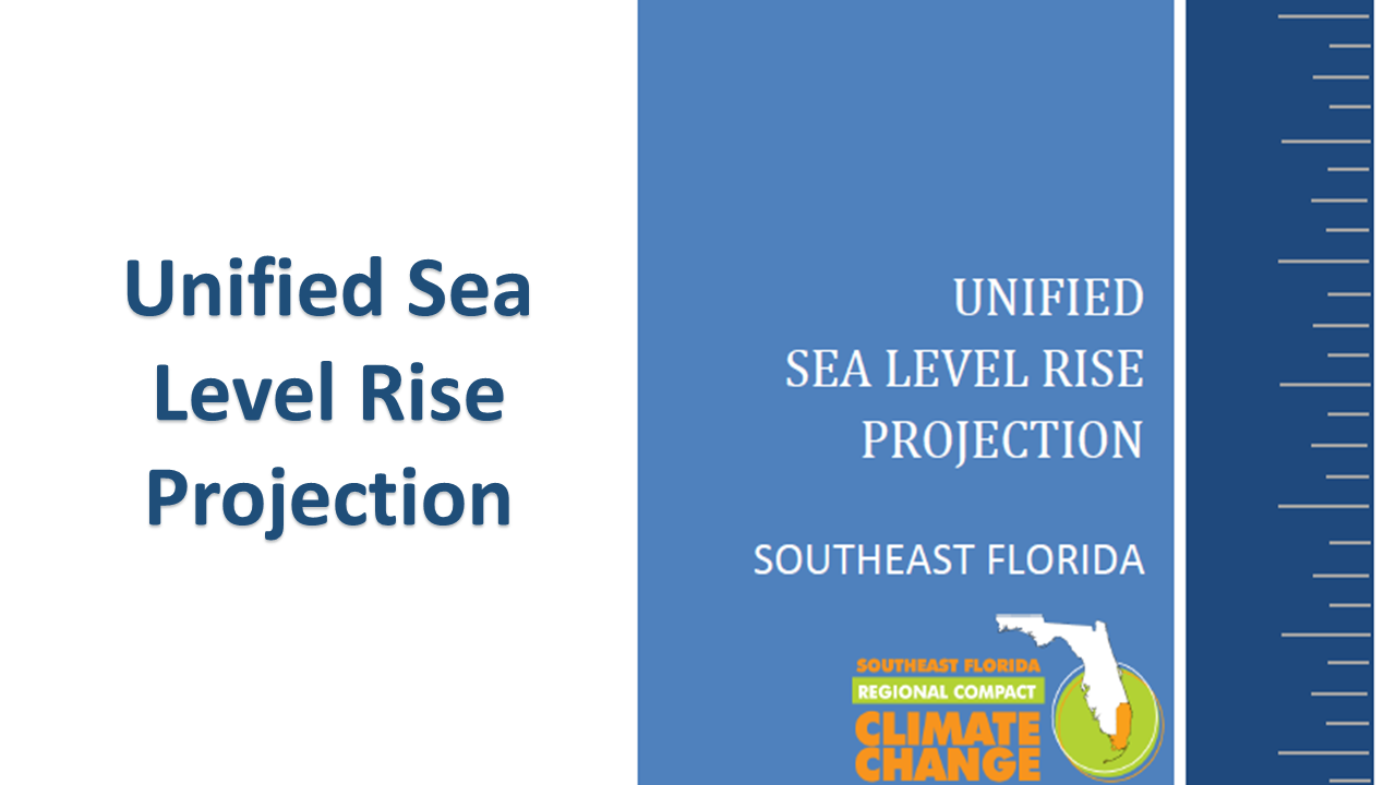 Unified SLR Projection Button.png